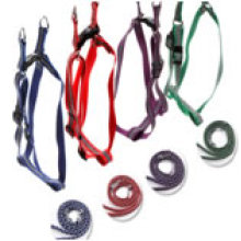 Haustier-reflektierende Sicherheitsprodukte, kleine Hundeleinen auf dem Seil, das Polyester-Seil der Haustier-Leinen mit CER En13356